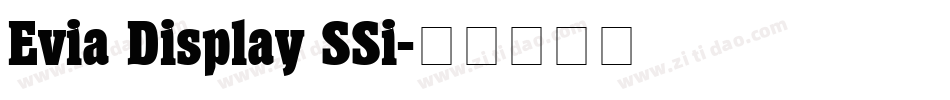 Evia Display SSi字体转换